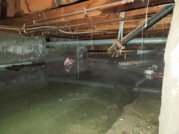 Sewage cleanup and water damage restoration in Hayti, MO