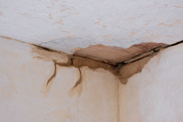 Best Water damage contractors near me  in Hayti, MO