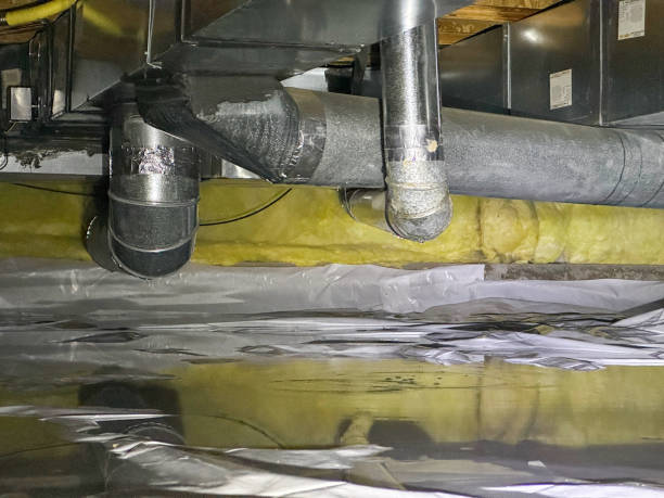 Best Sewage cleanup and water damage restoration  in Hayti, MO